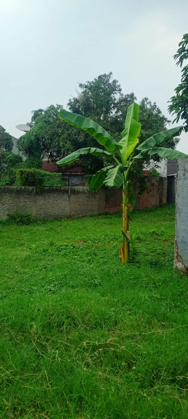 Tanah di Kota Bandung