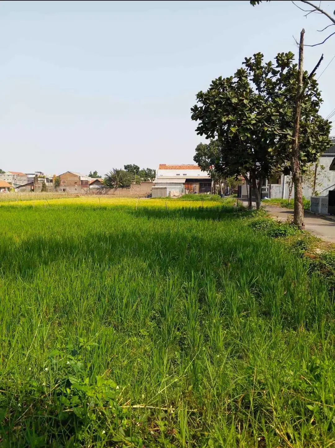Tanah di Kota Bandung, foto 5