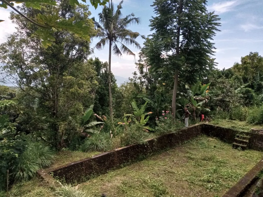Tanah Untuk Perkebunan Area Malangbong Garut, foto 6