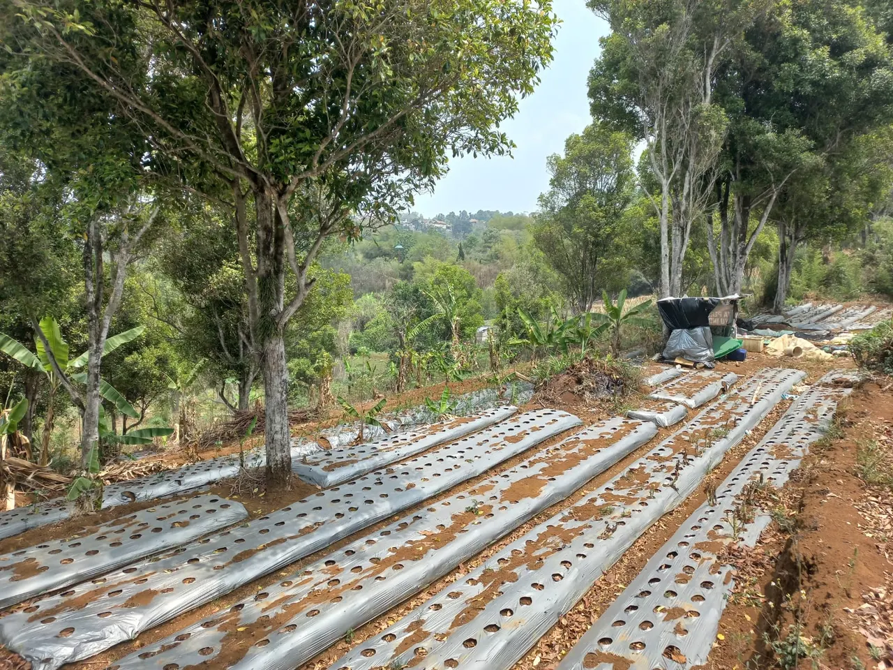 Tanah di Kota Cimahi, foto 5