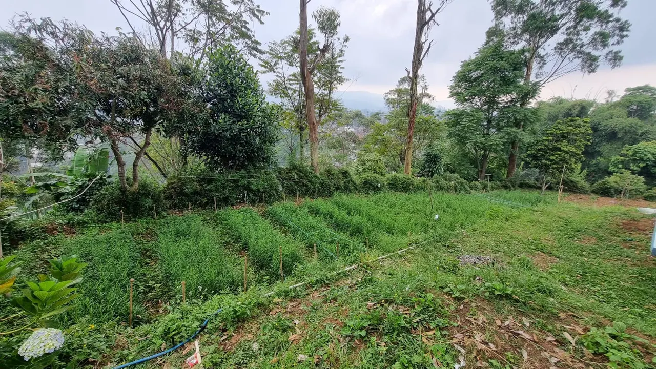 Tanah di Kabupaten Bandung Barat, foto 3