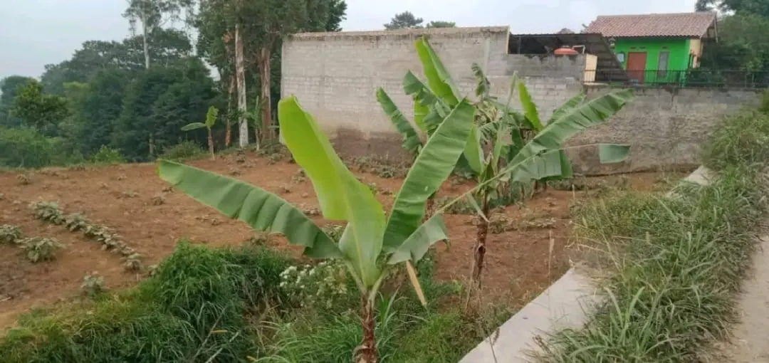 Tanah di Kabupaten Bandung Barat, foto 2