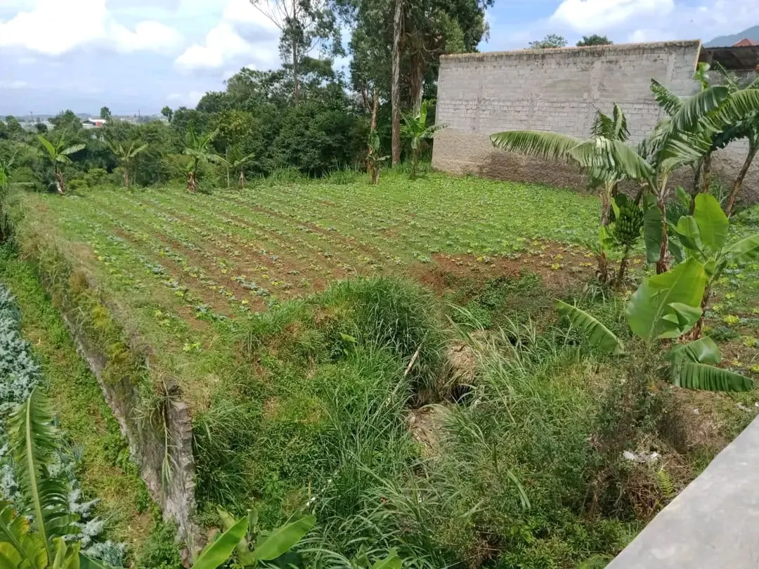 Tanah di Kabupaten Bandung Barat, foto 4