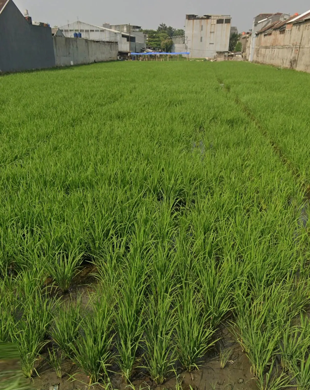 Tanah di Kota Bandung
