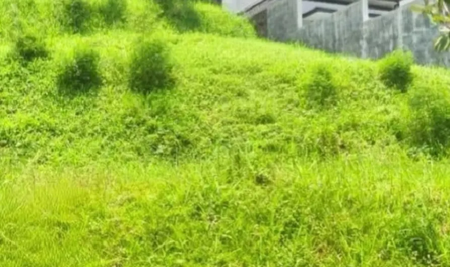Tanah di Kota Bandung, foto 2