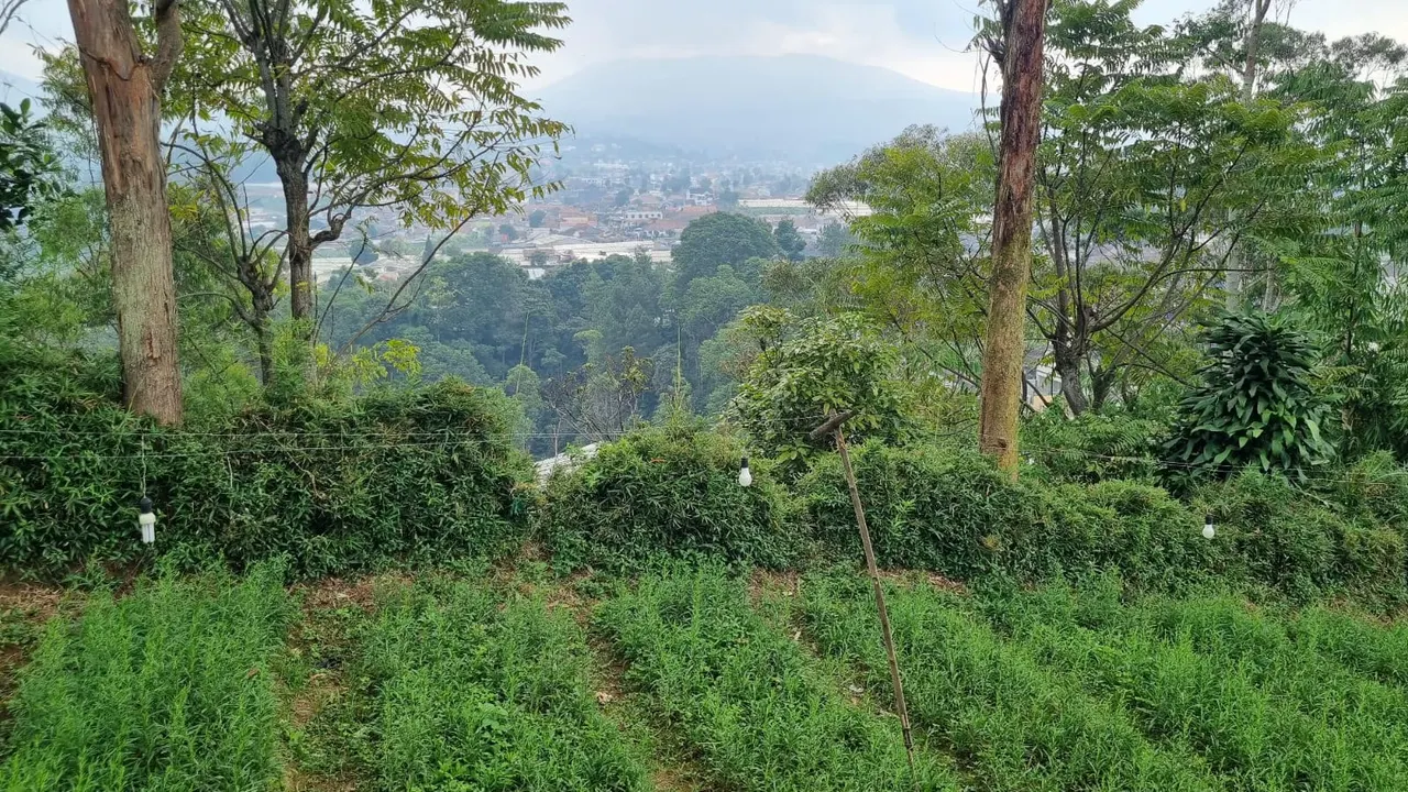 Tanah di Kabupaten Bandung Barat, foto 2