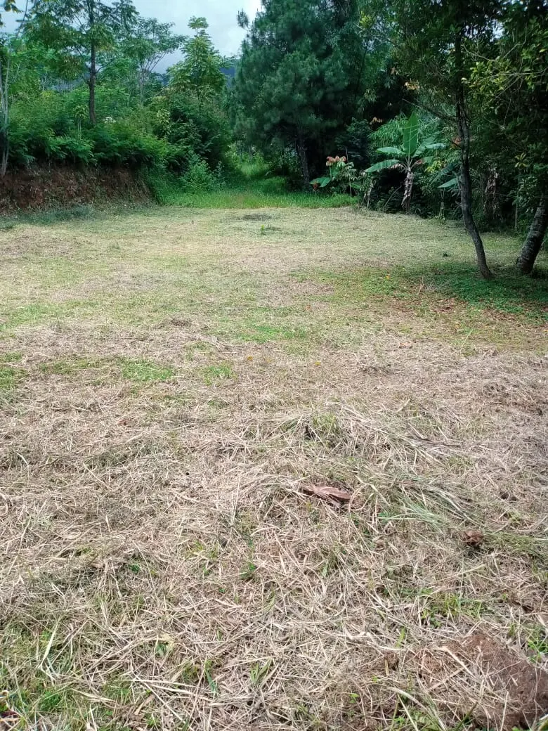 Tanah Untuk Perkebunan Area Malangbong Garut, foto 3