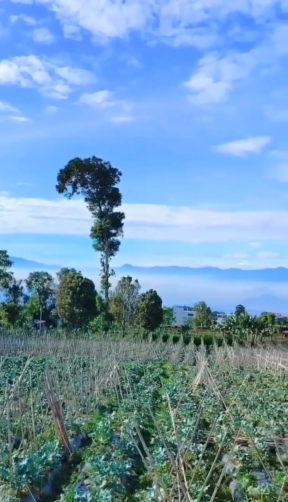 Tanah di Kabupaten Bandung Barat, foto 2