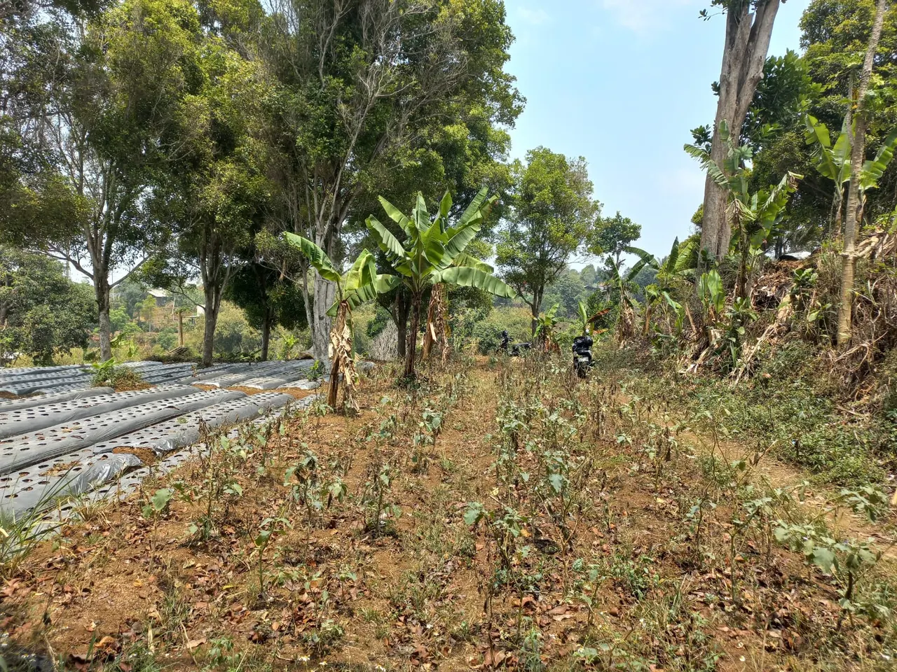 Tanah di Kota Cimahi, foto 4